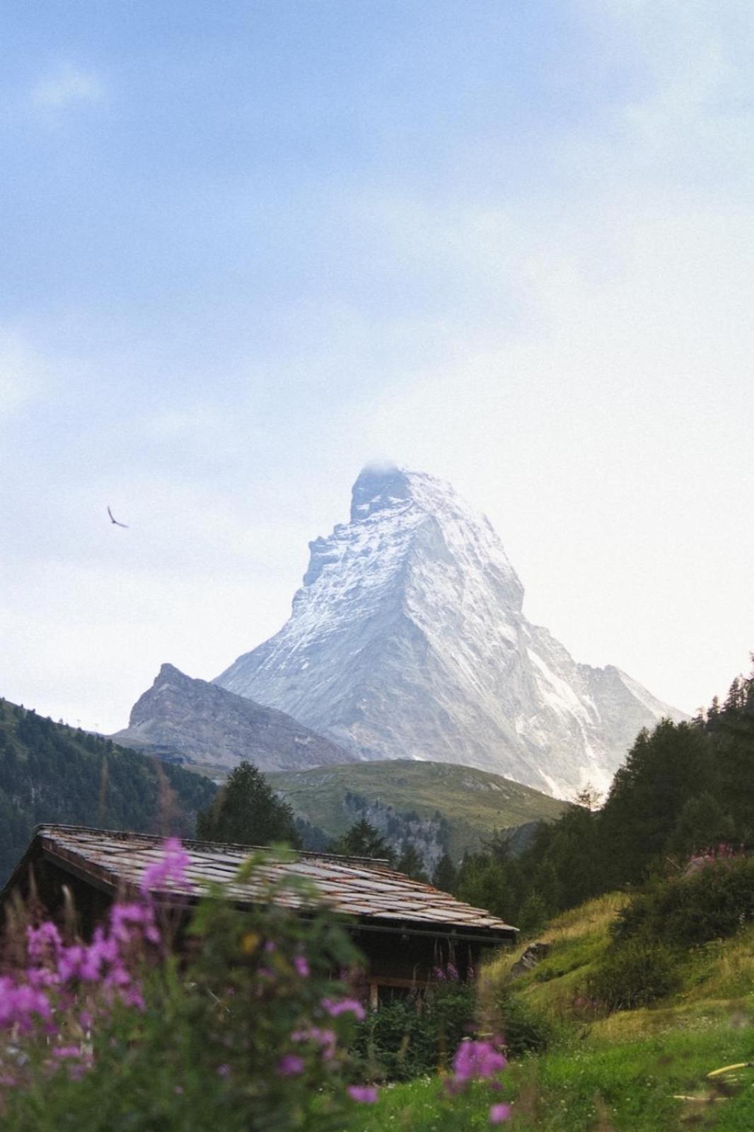 Studio Wolli - Stylish & Central - Steps To Matterhorn Gondola Церматт Экстерьер фото